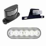 License & Back-Up Lights